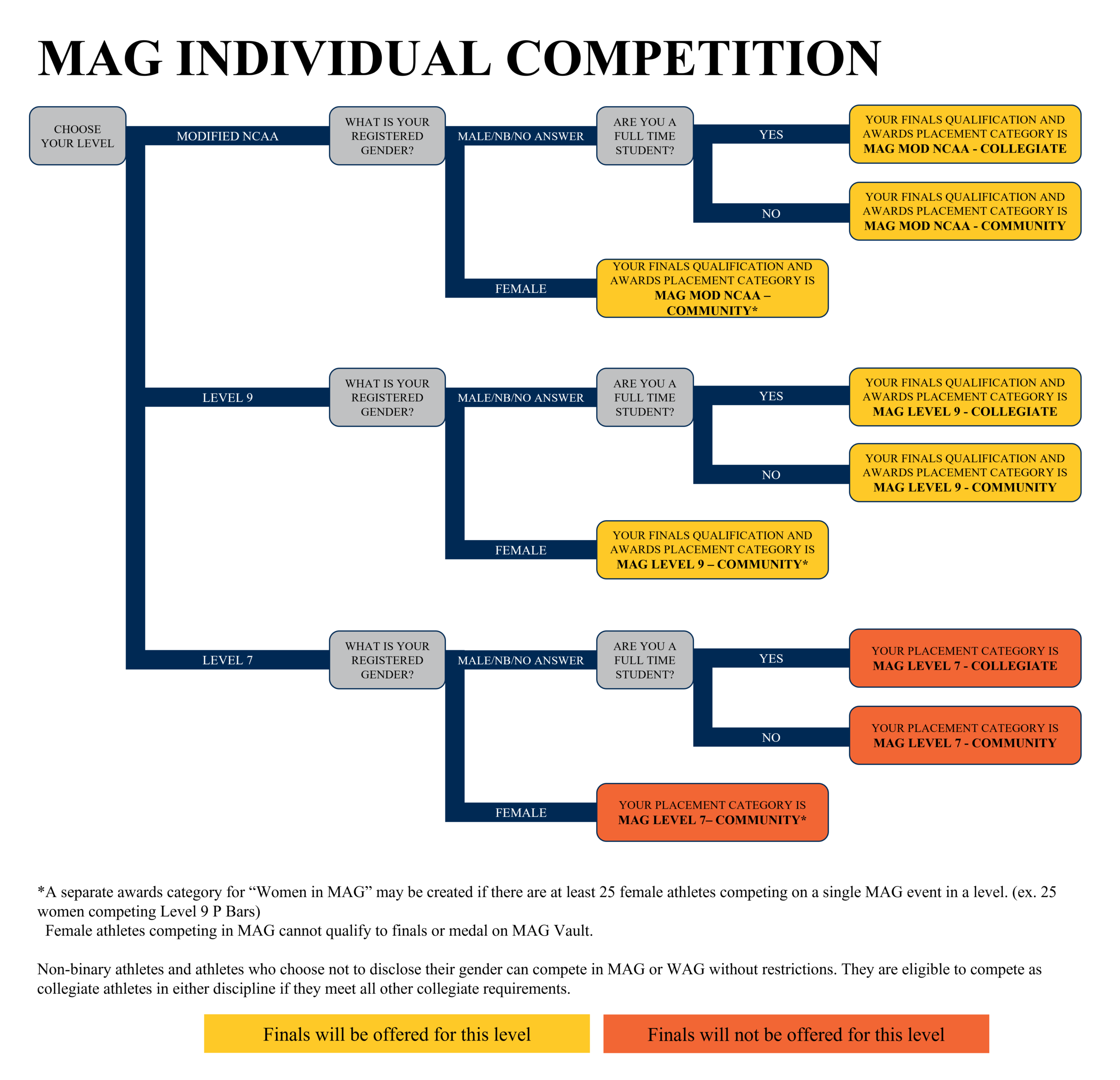MAG Individual Competition Finals Qualification and Awards